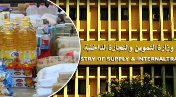 هيئة السلع التموينية في مصر تسعى لشراء كمية غير محددة من القمح