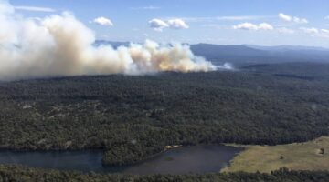 حرائق الغابات تدمر عدداً من المنازل في أستراليا