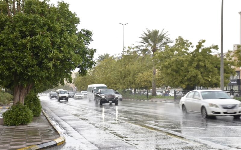 أماكنها ومواعيدها.. أمطار خفيفة إلى متوسطة على الرياض