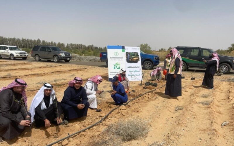 القريات.. زراعة 300 شتلة في فعالية يوم “مبادرة السعودية الخضراء”