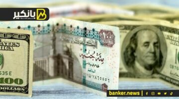 سعر الدولار أمام الجنيه المصري في تعاملات اليوم الجمعة 29-3-2024