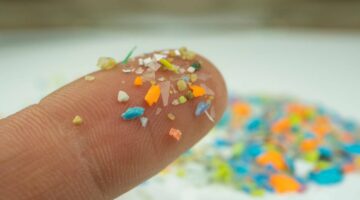 «مايو كلينيك» ترصد المخاطر الصحية للدقائق البلاستيكية الصغيرة