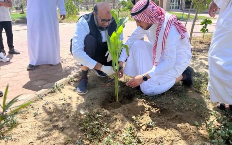 يوم السعودية الخضراء.. التطوع والمسؤولية الاجتماعية ببيئة مكة المكرمة