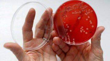 دراسة تحذّر… تغيُّر المناخ يُسهّل انتشار البكتيريا المقاوِمة للمضادّات الحيوية