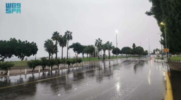 فيديو.. هطول أمطار غزيرة على الرياض صباح يوم عيد الفطر