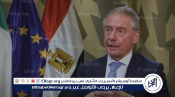 مصر لها دور محوري في العلاقات بين أوروبا وإفريقيا والعالم العربي
